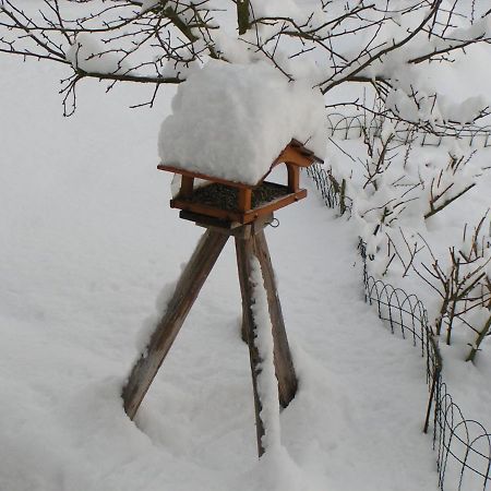 Апартаменты Fewo Talula - Sauerland Mit Hund Медебах Экстерьер фото