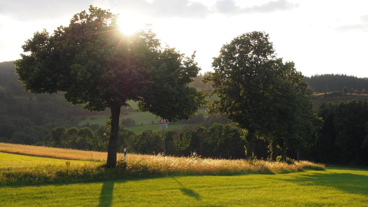 Апартаменты Fewo Talula - Sauerland Mit Hund Медебах Экстерьер фото