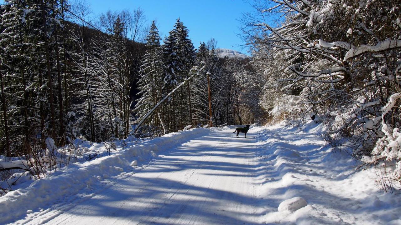 Апартаменты Fewo Talula - Sauerland Mit Hund Медебах Экстерьер фото