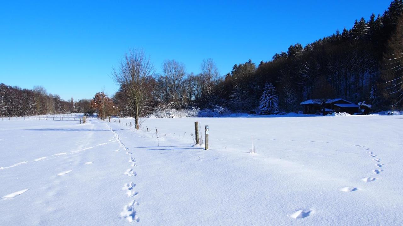 Апартаменты Fewo Talula - Sauerland Mit Hund Медебах Экстерьер фото