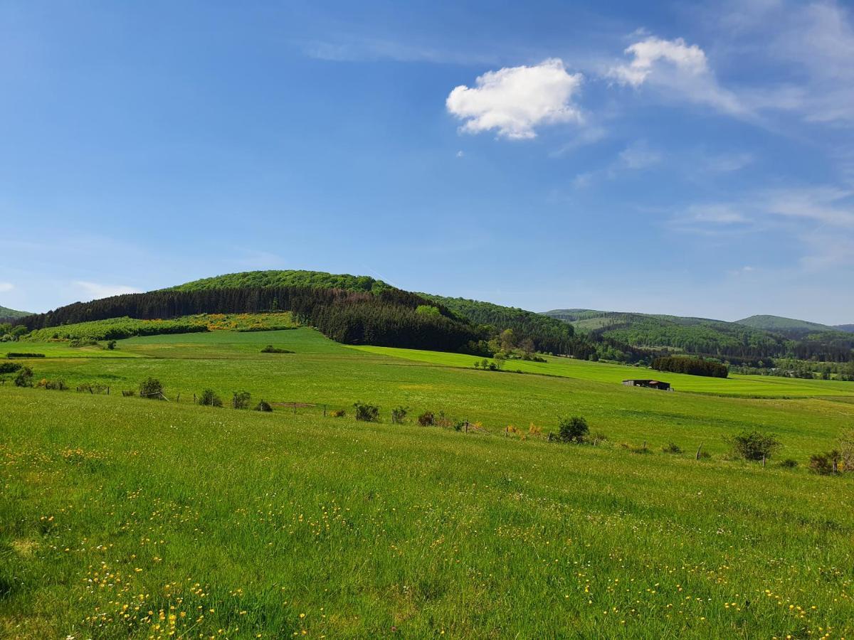 Апартаменты Fewo Talula - Sauerland Mit Hund Медебах Экстерьер фото