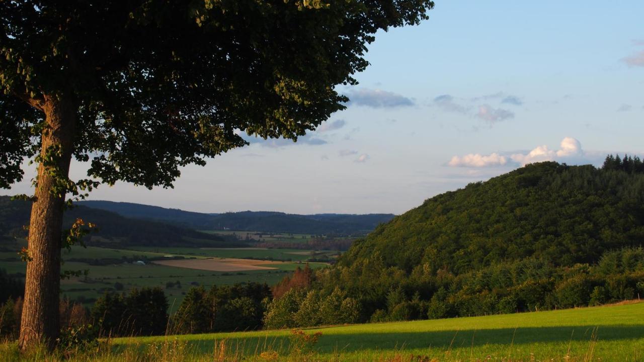Fewo Talula - Sauerland Mit Hund Медебах Экстерьер фото