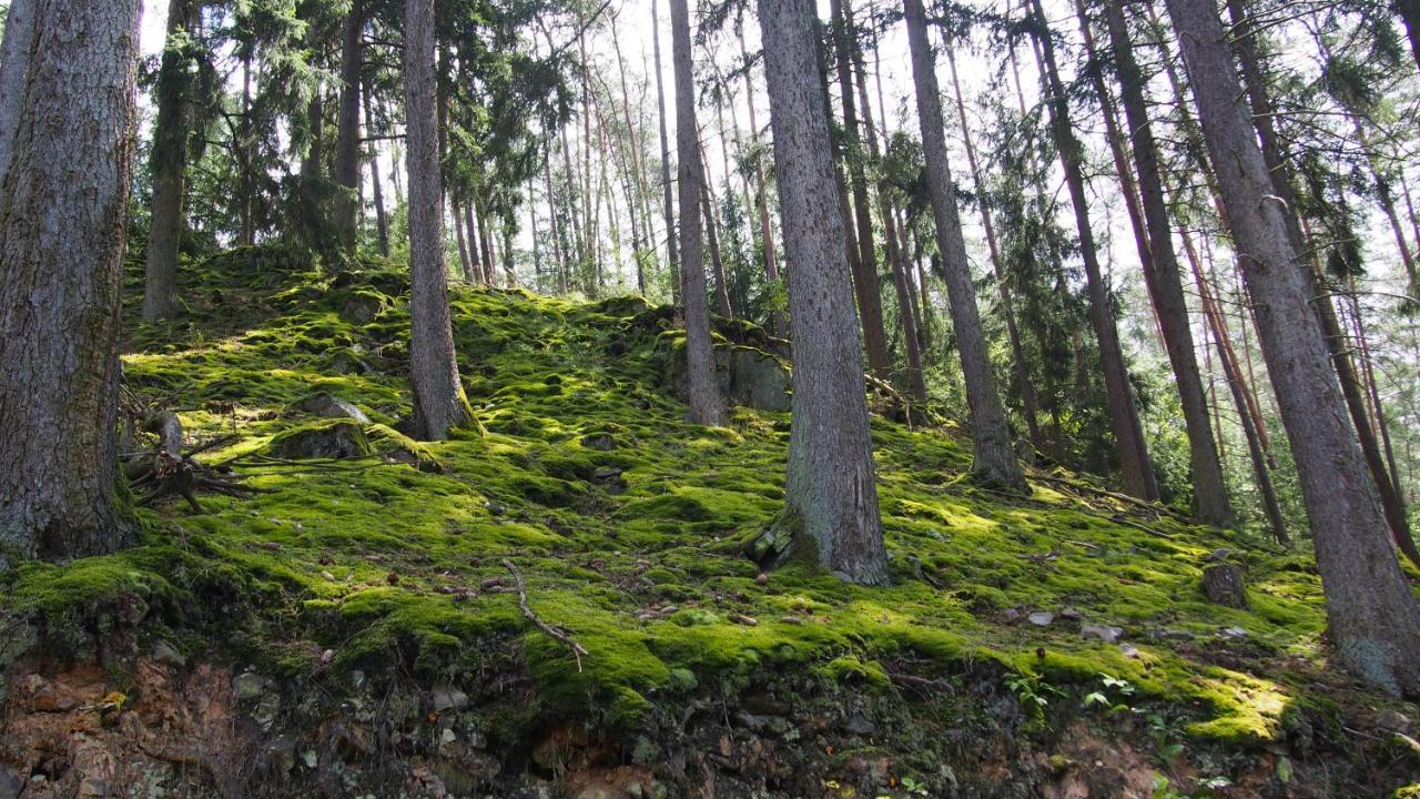 Апартаменты Fewo Talula - Sauerland Mit Hund Медебах Экстерьер фото