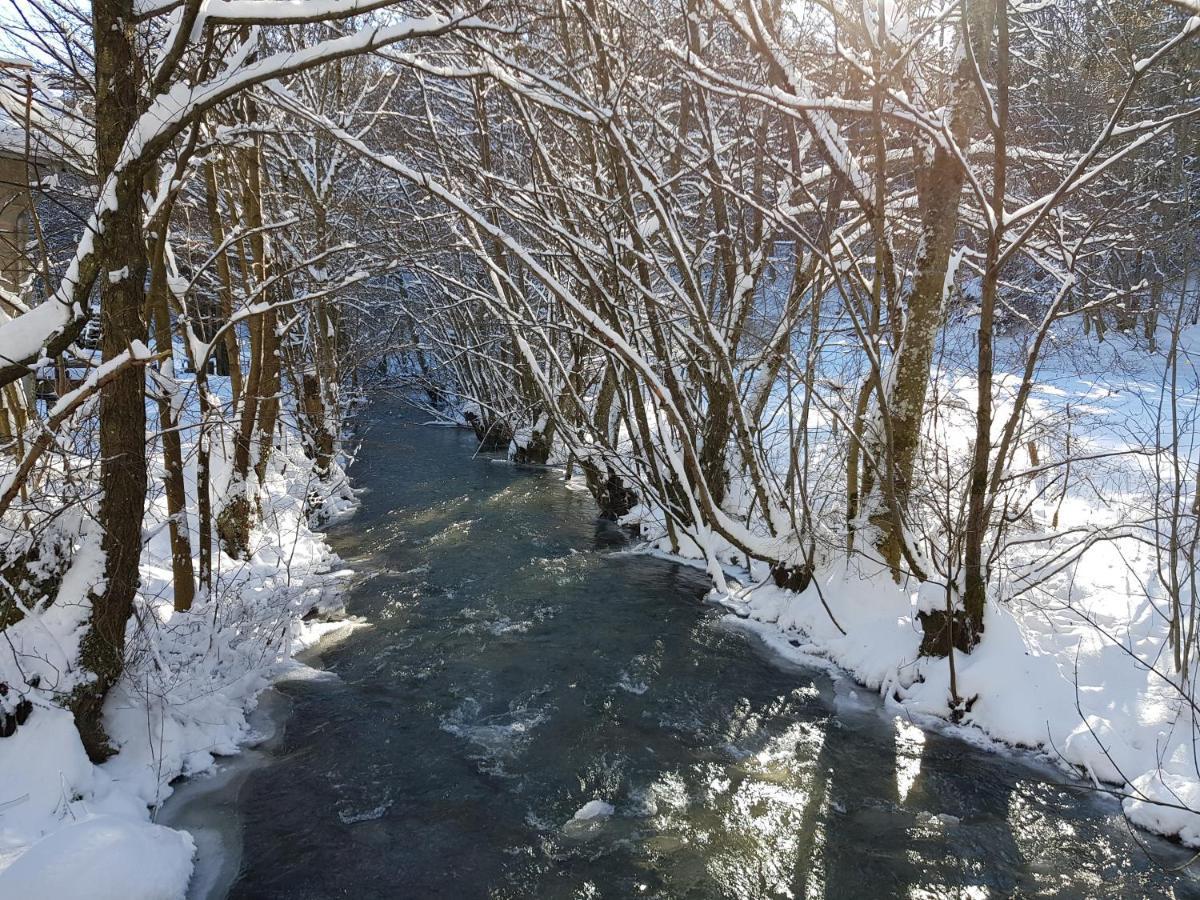 Fewo Talula - Sauerland Mit Hund Медебах Экстерьер фото