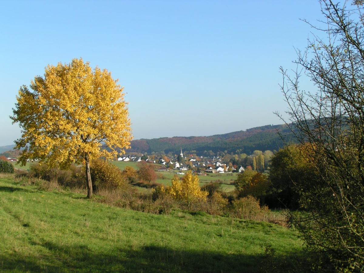 Апартаменты Fewo Talula - Sauerland Mit Hund Медебах Экстерьер фото