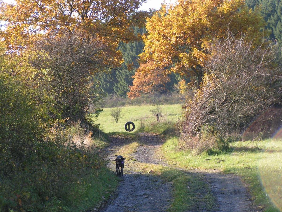 Апартаменты Fewo Talula - Sauerland Mit Hund Медебах Экстерьер фото